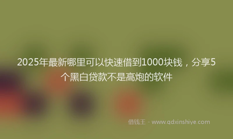 2025年最新哪里可以快速借到1000块钱，分享5个黑白贷款不是高炮的软件