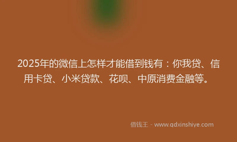 2025年的微信上怎样才能借到钱有：你我贷、信用卡贷、小米贷款、花呗、中原消费金融等。