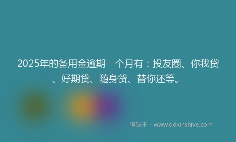2025年的备用金逾期一个月有：投友圈、你我贷、好期贷、随身贷、替你还等。