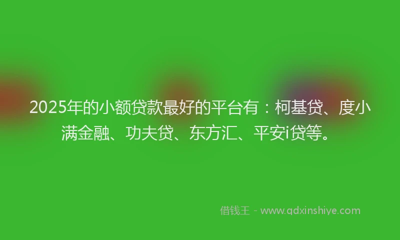 2025年的小额贷款最好的平台有：柯基贷、度小满金融、功夫贷、东方汇、平安i贷等。