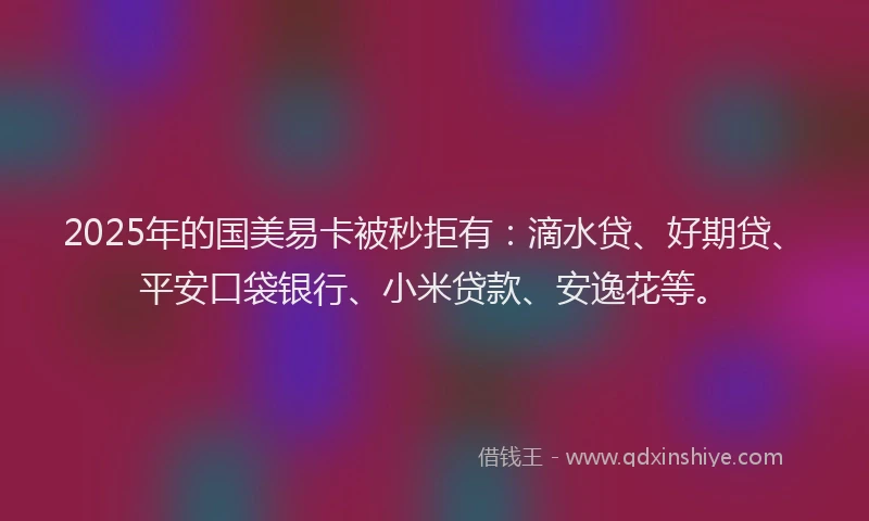 2025年的国美易卡被秒拒有：滴水贷、好期贷、平安口袋银行、小米贷款、安逸花等。