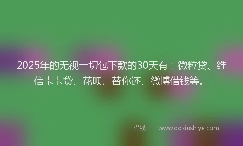 2025年的无视一切包下款的30天有：微粒贷、维信卡卡贷、花呗、替你还、微博借钱等。