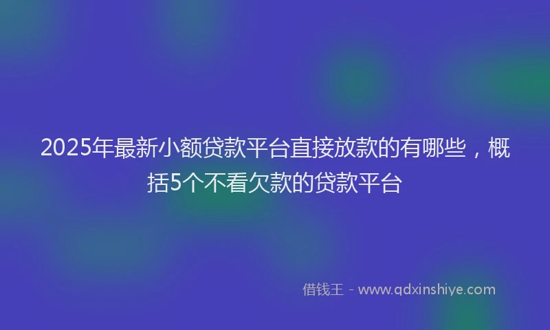 2025年最新小额贷款平台直接放款的有哪些，概括5个不看欠款的贷款平台