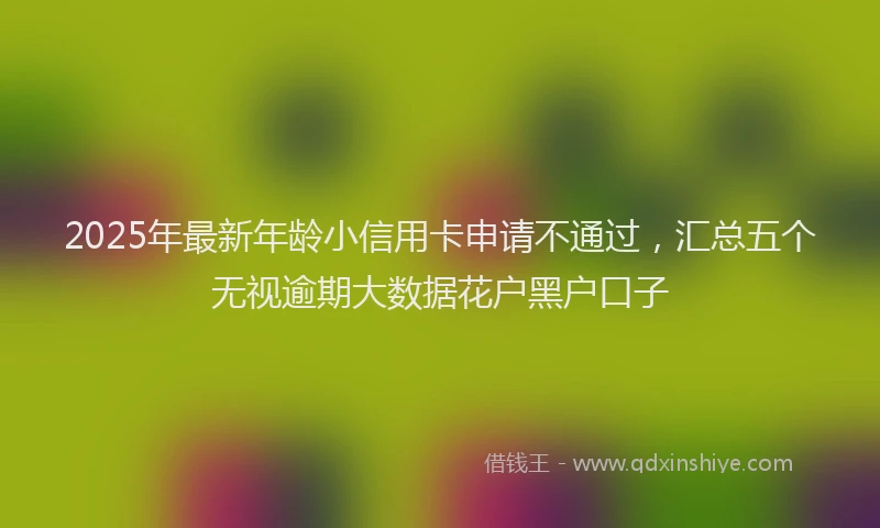 2025年最新年龄小信用卡申请不通过，汇总五个无视逾期大数据花户黑户口子