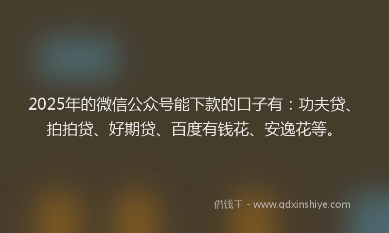 2025年的微信公众号能下款的口子有：功夫贷、拍拍贷、好期贷、百度有钱花、安逸花等。