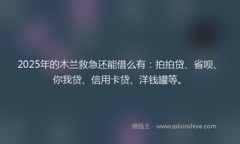2025年的木兰救急还能借么有：拍拍贷、省呗、你我贷、信用卡贷、洋钱罐等。