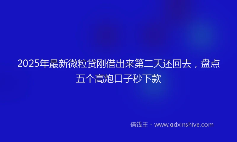2025年最新微粒贷刚借出来第二天还回去，盘点五个高炮口子秒下款