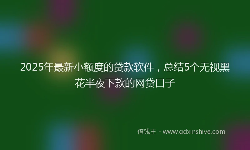 2025年最新小额度的贷款软件，总结5个无视黑花半夜下款的网贷口子