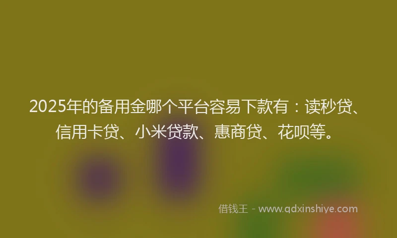 2025年的备用金哪个平台容易下款有：读秒贷、信用卡贷、小米贷款、惠商贷、花呗等。