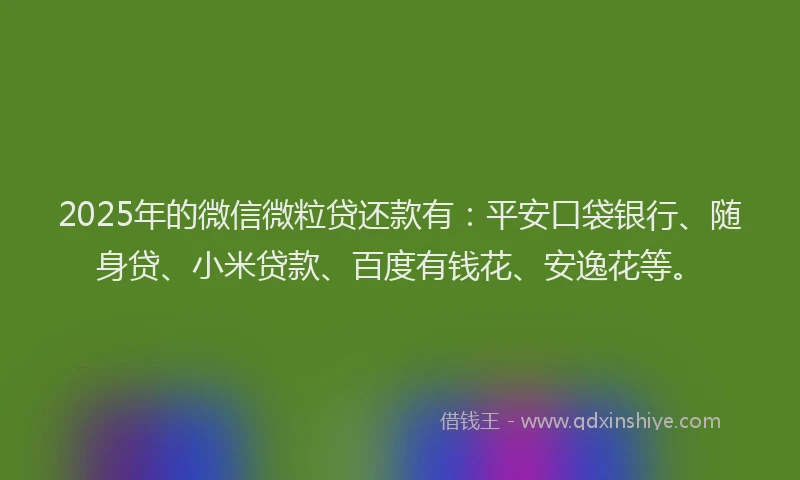 2025年的微信微粒贷还款有：平安口袋银行、随身贷、小米贷款、百度有钱花、安逸花等。