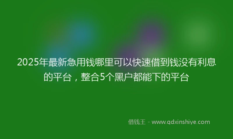 2025年最新急用钱哪里可以快速借到钱没有利息的平台，整合5个黑户都能下的平台