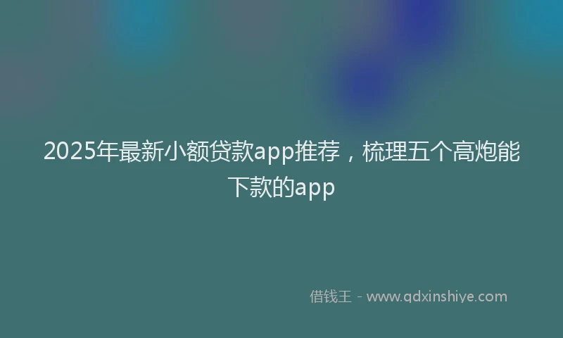 2025年最新小额贷款app推荐，梳理五个高炮能下款的app