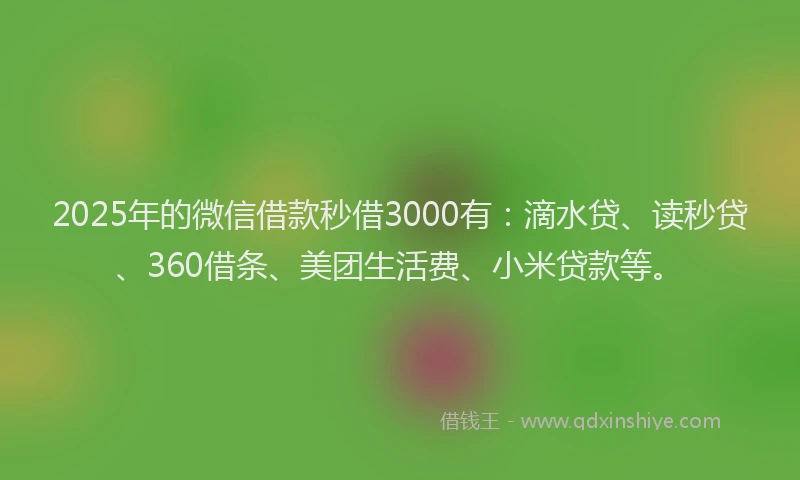 2025年的微信借款秒借3000有：滴水贷、读秒贷、360借条、美团生活费、小米贷款等。