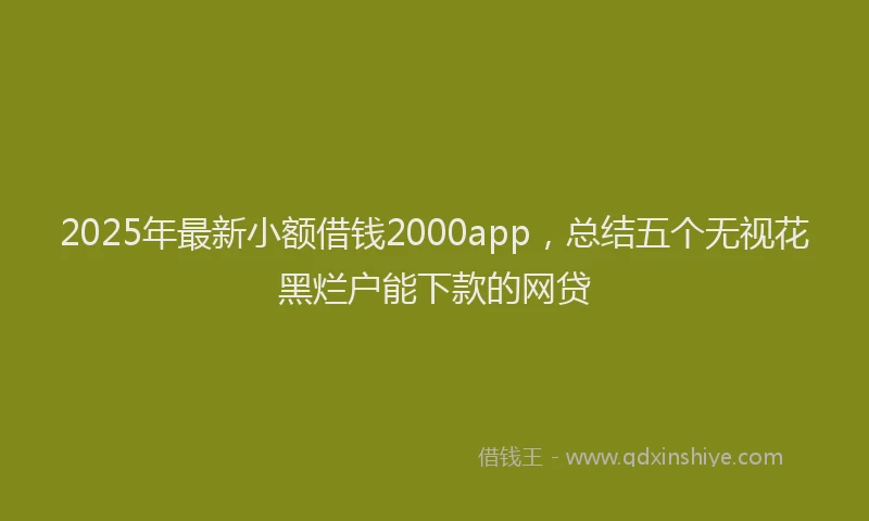 2025年最新小额借钱2000app，总结五个无视花黑烂户能下款的网贷