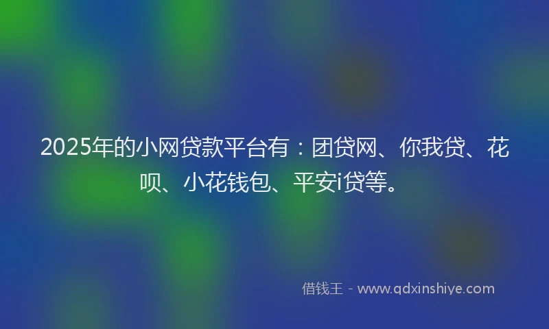2025年的小网贷款平台有：团贷网、你我贷、花呗、小花钱包、平安i贷等。