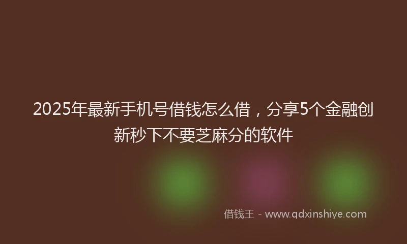 2025年最新手机号借钱怎么借，分享5个金融创新秒下不要芝麻分的软件