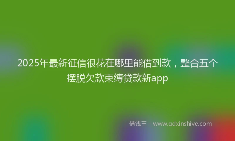 2025年最新征信很花在哪里能借到款，整合五个摆脱欠款束缚贷款新app
