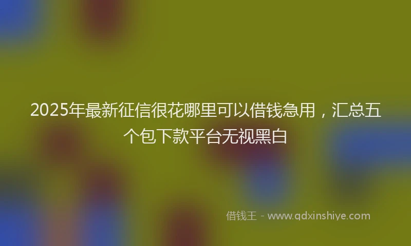 2025年最新征信很花哪里可以借钱急用，汇总五个包下款平台无视黑白