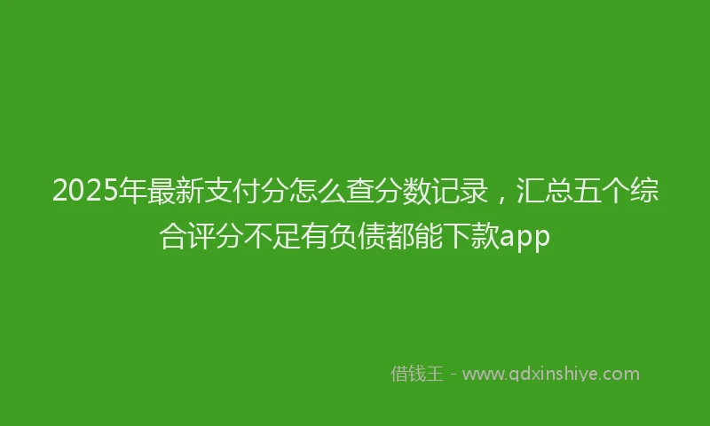2025年最新支付分怎么查分数记录，汇总五个综合评分不足有负债都能下款app
