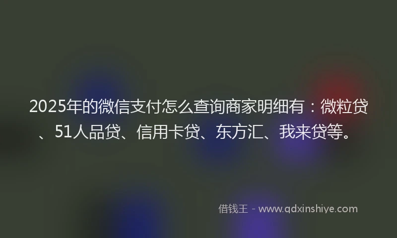 2025年的微信支付怎么查询商家明细有：微粒贷、51人品贷、信用卡贷、东方汇、我来贷等。