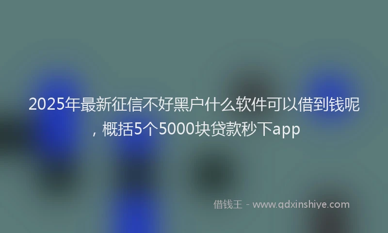 2025年最新征信不好黑户什么软件可以借到钱呢，概括5个5000块贷款秒下app