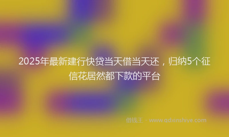2025年最新建行快贷当天借当天还，归纳5个征信花居然都下款的平台