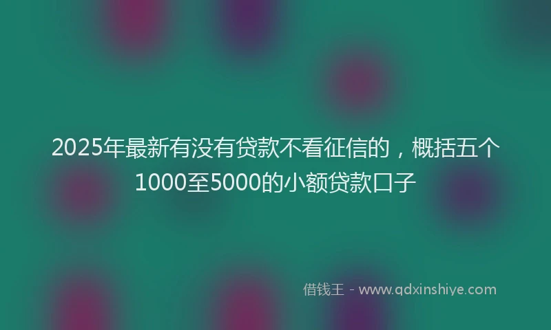 2025年最新有没有贷款不看征信的，概括五个1000至5000的小额贷款口子