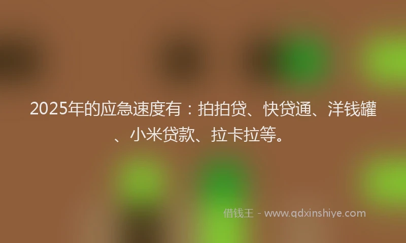 2025年的应急速度有：拍拍贷、快贷通、洋钱罐、小米贷款、拉卡拉等。