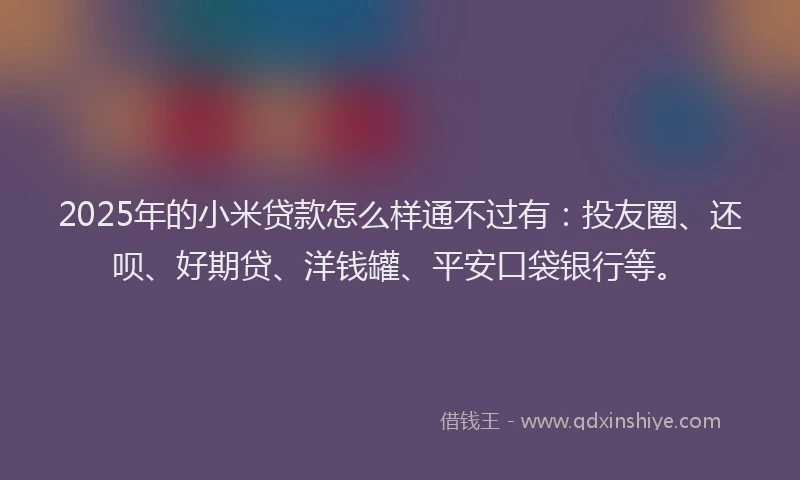 2025年的小米贷款怎么样通不过有：投友圈、还呗、好期贷、洋钱罐、平安口袋银行等。