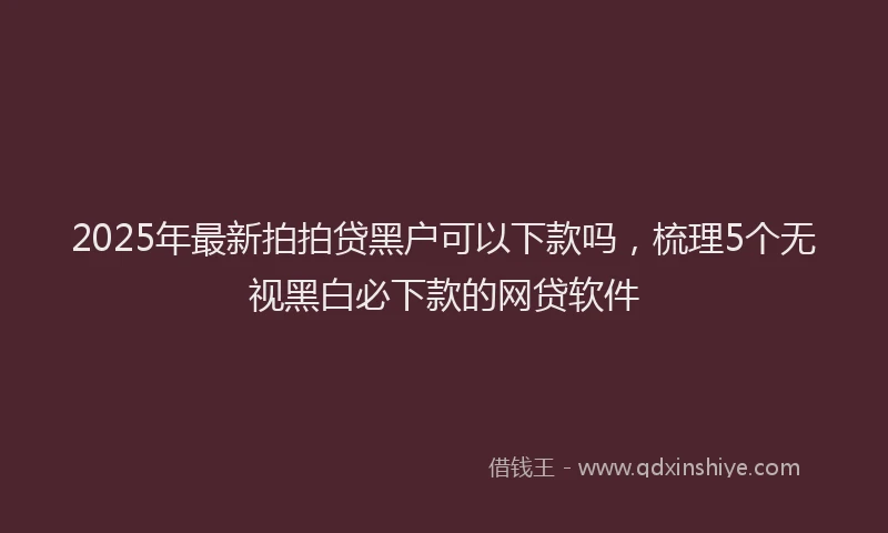 2025年最新拍拍贷黑户可以下款吗，梳理5个无视黑白必下款的网贷软件