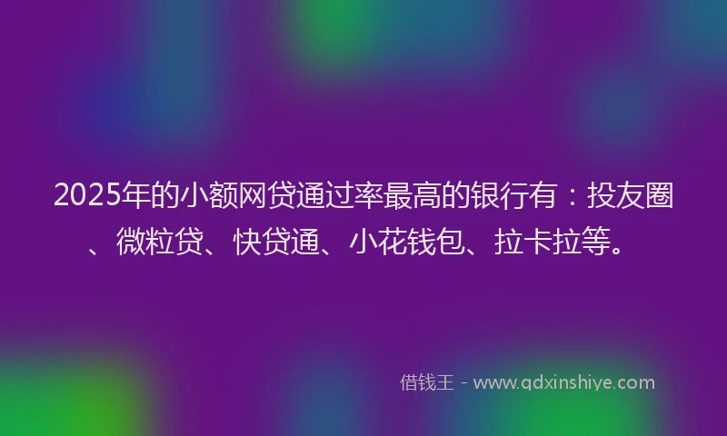 2025年的小额网贷通过率最高的银行有：投友圈、微粒贷、快贷通、小花钱包、拉卡拉等。