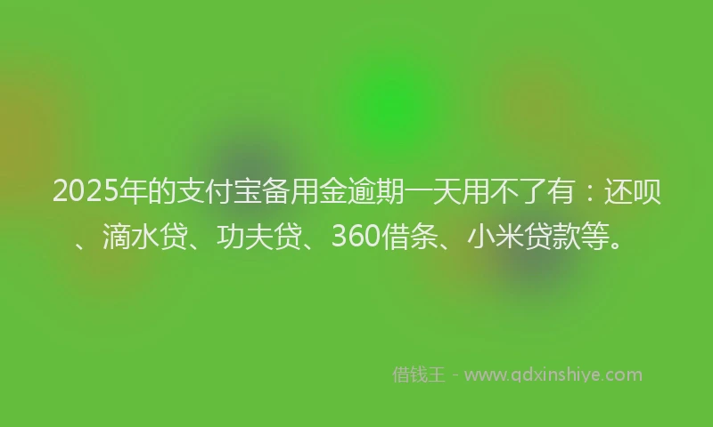 2025年的支付宝备用金逾期一天用不了有：还呗、滴水贷、功夫贷、360借条、小米贷款等。