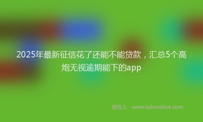 2025年最新征信花了还能不能贷款，汇总5个高炮无视逾期能下的app