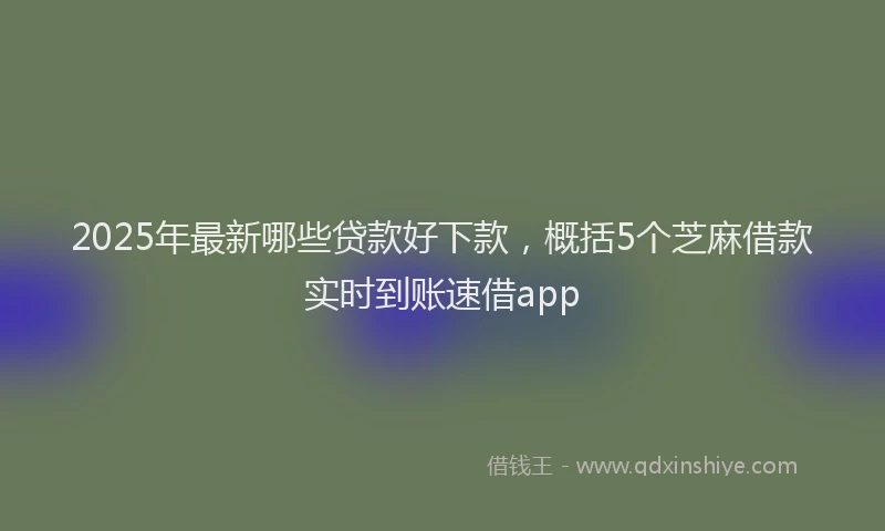 2025年最新哪些贷款好下款，概括5个芝麻借款实时到账速借app