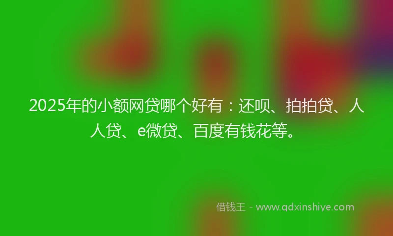 2025年的小额网贷哪个好有：还呗、拍拍贷、人人贷、e微贷、百度有钱花等。