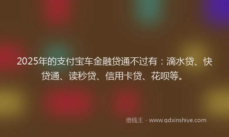 2025年的支付宝车金融贷通不过有：滴水贷、快贷通、读秒贷、信用卡贷、花呗等。