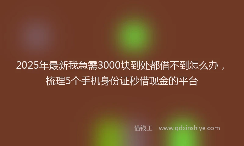 2025年最新我急需3000块到处都借不到怎么办，梳理5个手机身份证秒借现金的平台