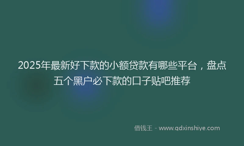 2025年最新好下款的小额贷款有哪些平台，盘点五个黑户必下款的口子贴吧推荐