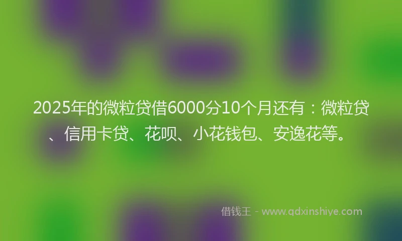 2025年的微粒贷借6000分10个月还有：微粒贷、信用卡贷、花呗、小花钱包、安逸花等。