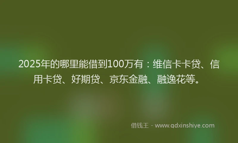2025年的哪里能借到100万有：维信卡卡贷、信用卡贷、好期贷、京东金融、融逸花等。