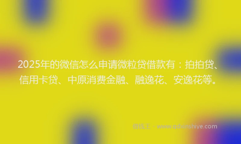 2025年的微信怎么申请微粒贷借款有：拍拍贷、信用卡贷、中原消费金融、融逸花、安逸花等。