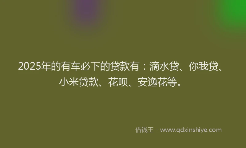 2025年的有车必下的贷款有：滴水贷、你我贷、小米贷款、花呗、安逸花等。