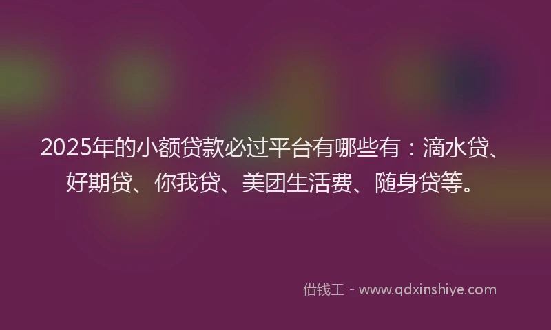 2025年的小额贷款必过平台有哪些有：滴水贷、好期贷、你我贷、美团生活费、随身贷等。