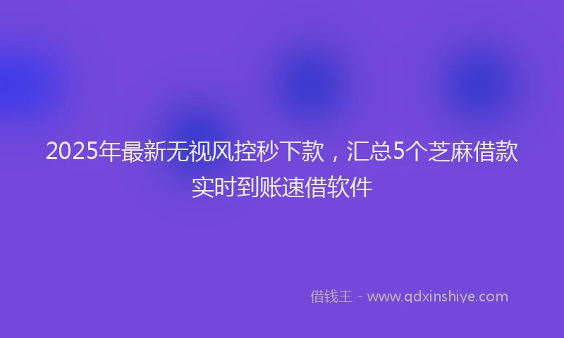 2025年最新无视风控秒下款，汇总5个芝麻借款实时到账速借软件
