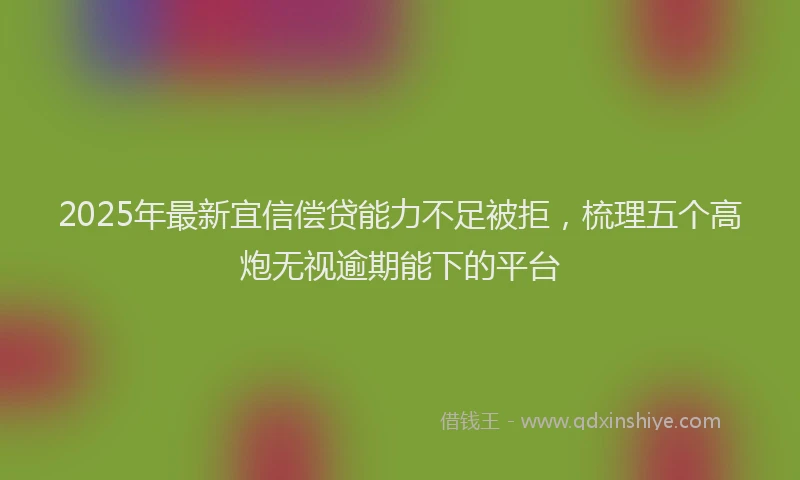 2025年最新宜信偿贷能力不足被拒，梳理五个高炮无视逾期能下的平台
