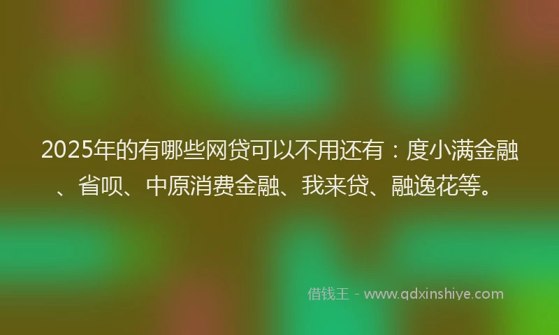 2025年的有哪些网贷可以不用还有：度小满金融、省呗、中原消费金融、我来贷、融逸花等。
