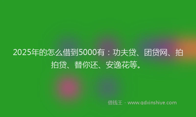 2025年的怎么借到5000有：功夫贷、团贷网、拍拍贷、替你还、安逸花等。