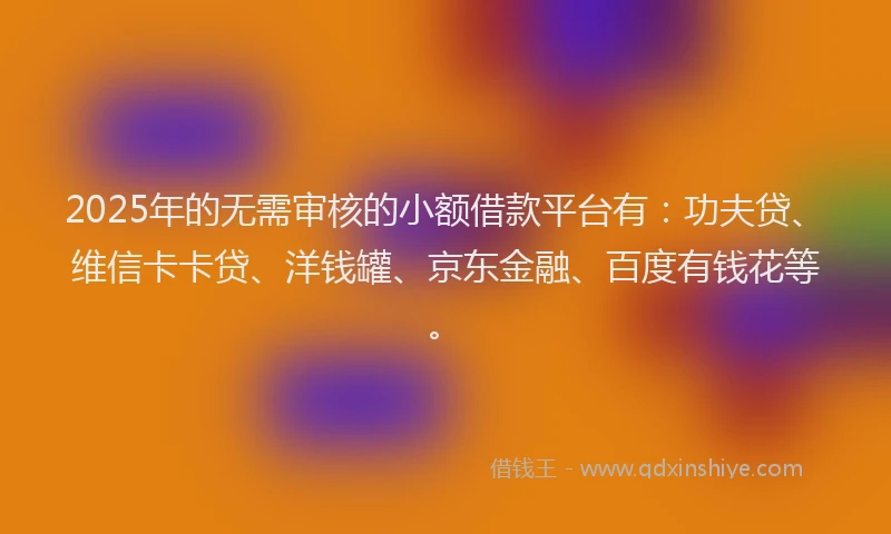 2025年的无需审核的小额借款平台有：功夫贷、维信卡卡贷、洋钱罐、京东金融、百度有钱花等。