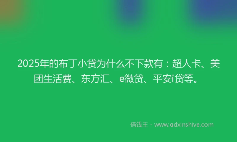 2025年的布丁小贷为什么不下款有：超人卡、美团生活费、东方汇、e微贷、平安i贷等。