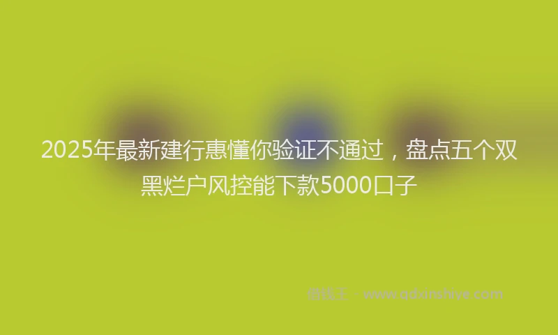 2025年最新建行惠懂你验证不通过，盘点五个双黑烂户风控能下款5000口子